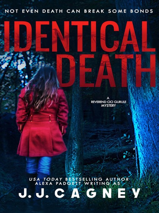 Cover image for Identical Death
